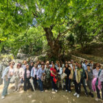 IMG_20260521_131638